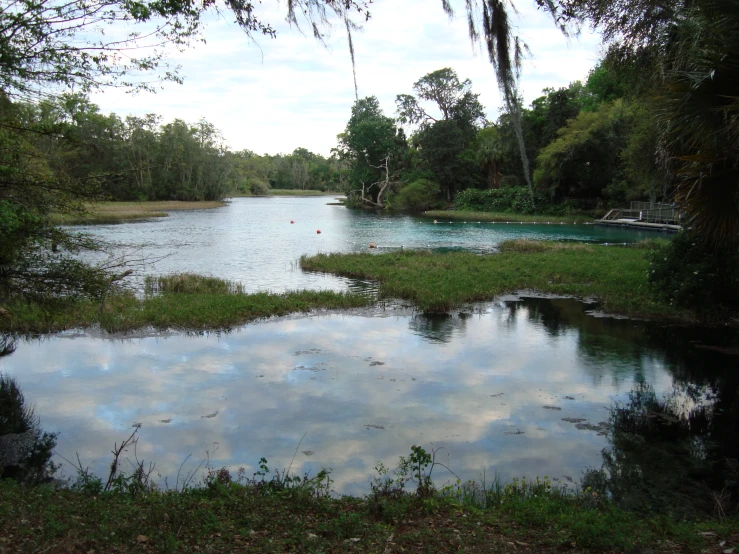 a small lake surrounded by forest and cloudy sky