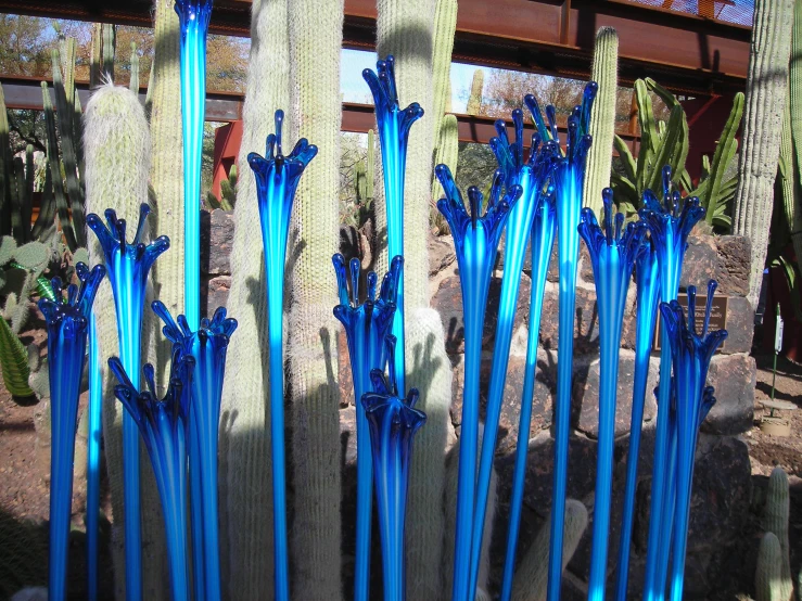 these long shiny blue poles are near the cactus