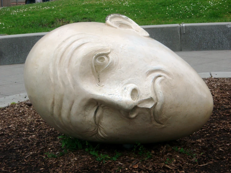 an animal head is placed on top of the planter