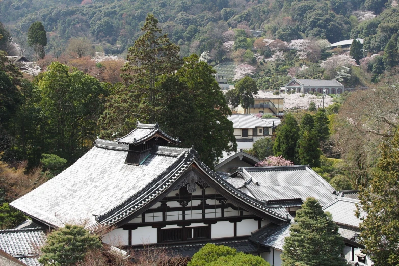 a white and brown building surrounded by lots of trees