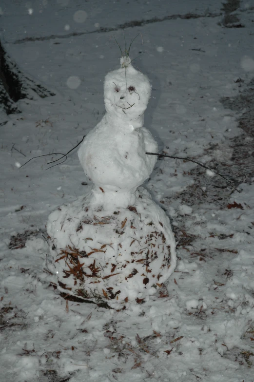 a snowman sits in the middle of the snow