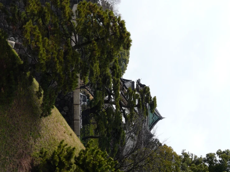 a clock tower on top of a tall building next to trees