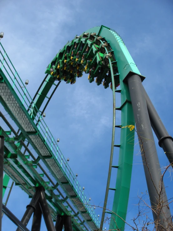 the roller coaster is a long green and black tube