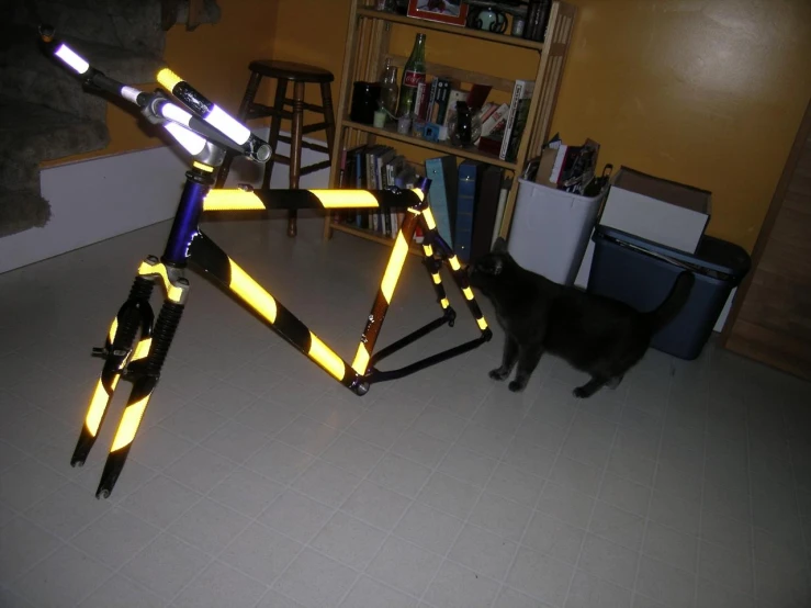 a cat standing next to a bicycle on tile