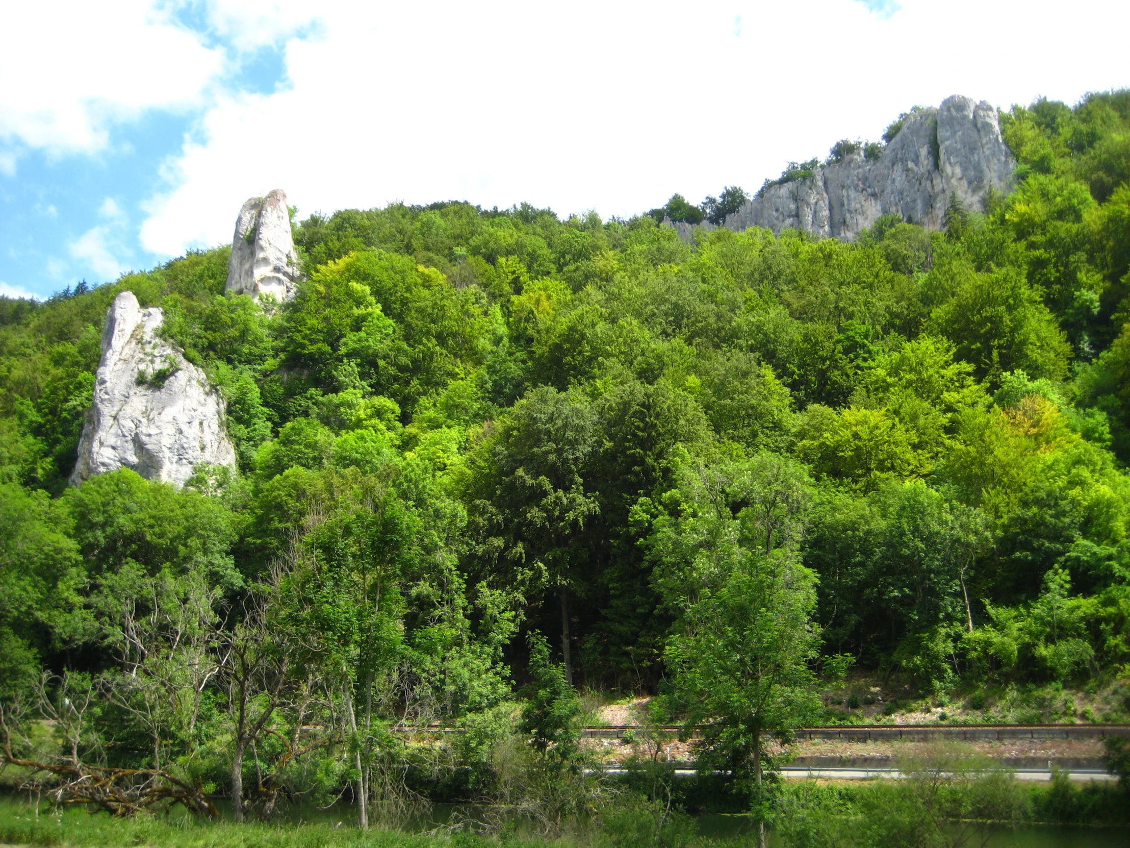 some large rocks are behind trees on the side of a river