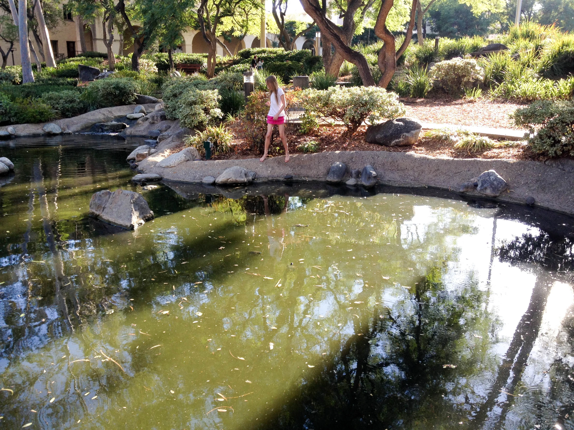 a woman standing on the bridge in a garden next to some water