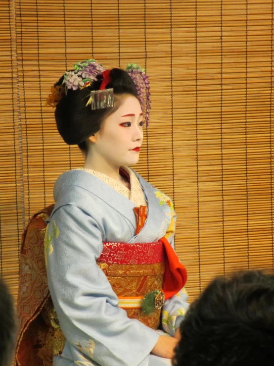 a geisha sitting in front of a bamboo wall