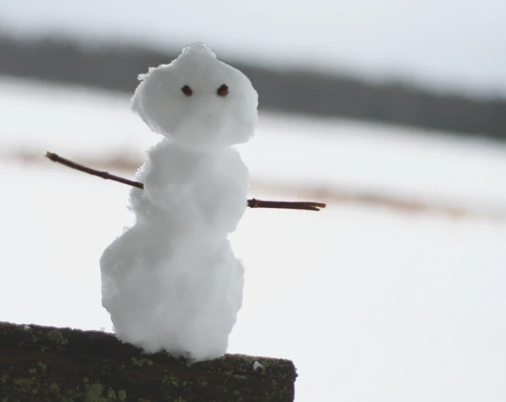 a snow man is sitting in front of a snow covered field