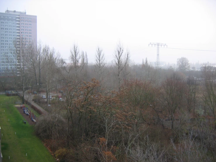 the view of a forest in the background from inside a building