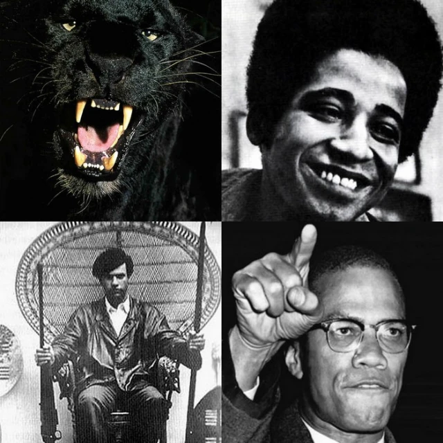 a black man, black panther, and black panther