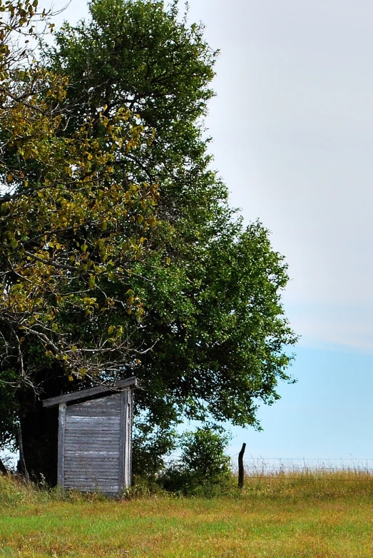 a small hut next to a tree in a field