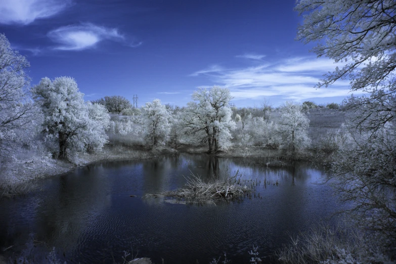 a lake surrounded by trees and surrounded by snow