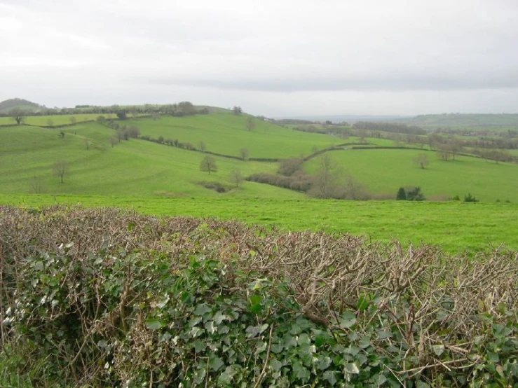 a green countryside is seen in the distance