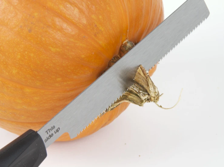 a large orange and some scissors with the peel on it