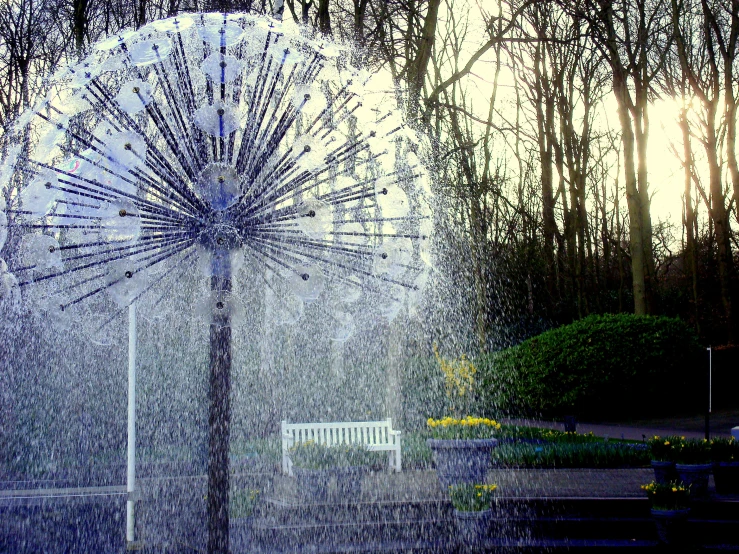 umbrella in water spewing from behind in front of trees