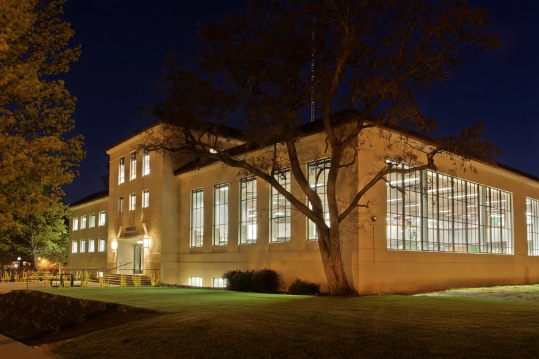 a building lit up by a tree in front of it