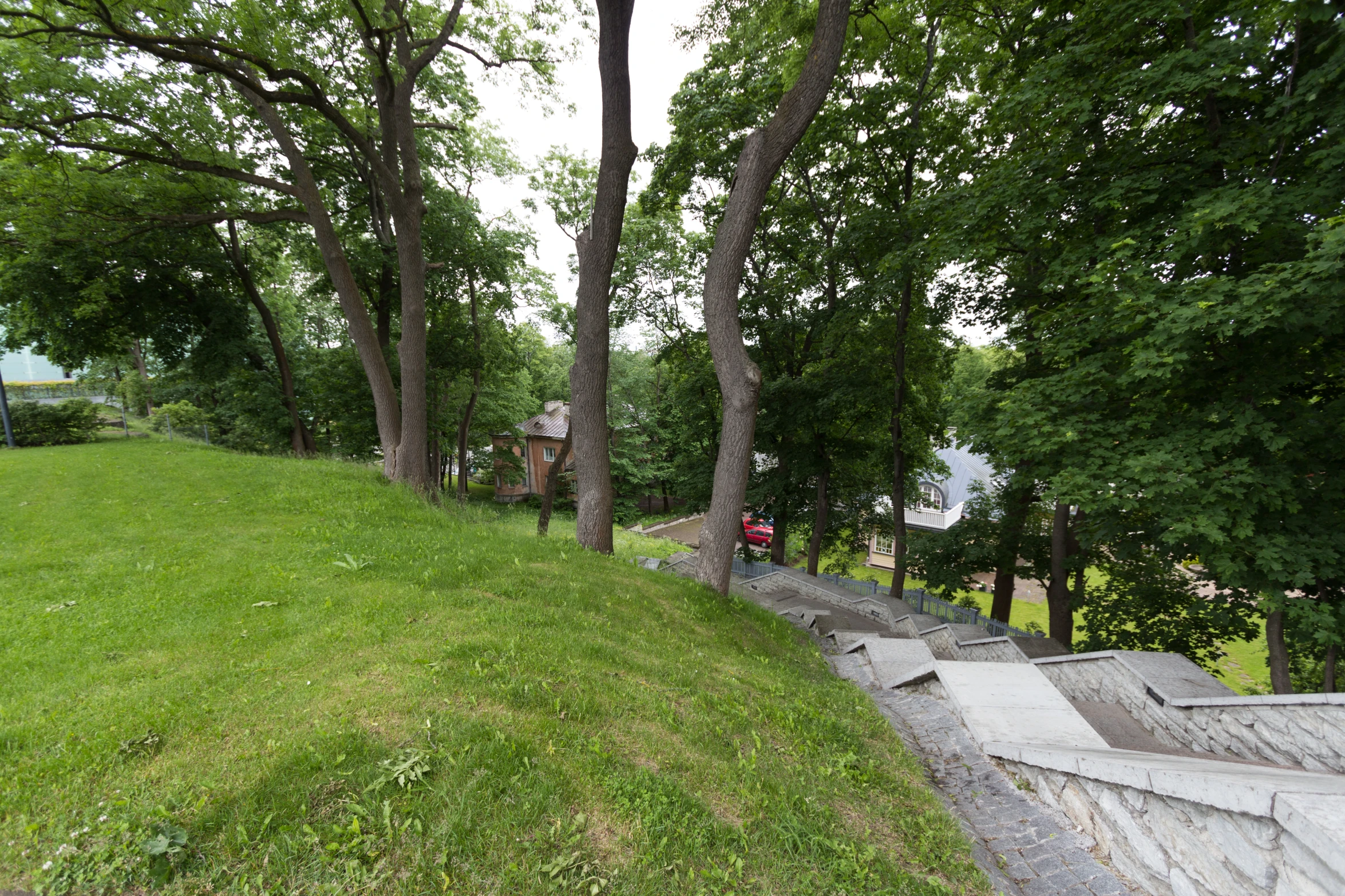 a small hill between some trees and the grass