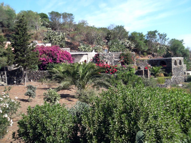 a house that has some plants growing out of it