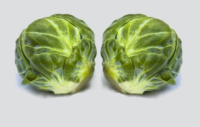 two heads of lettuce on a white background