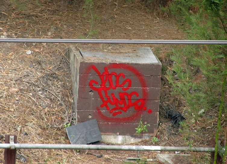 a graffiti covered old fashioned box sitting on a field