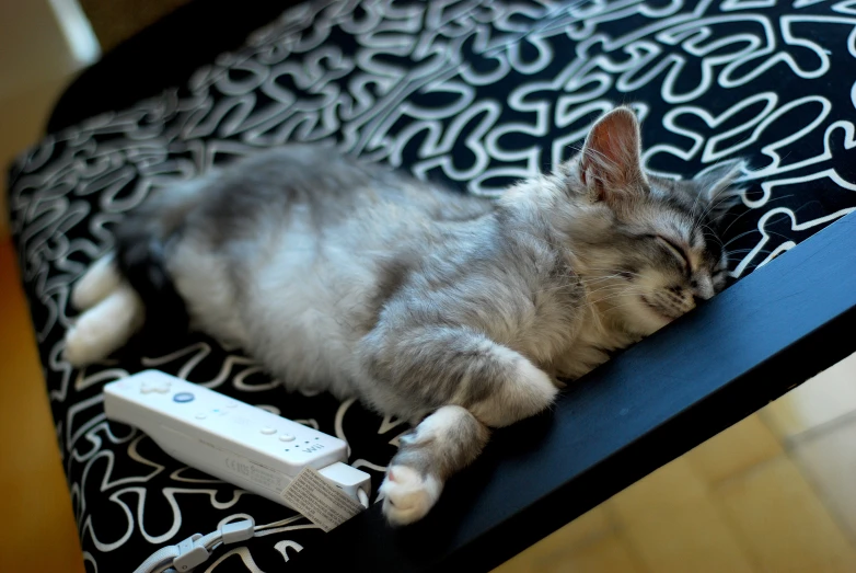 a cat sleeping on a bed holding two remotes