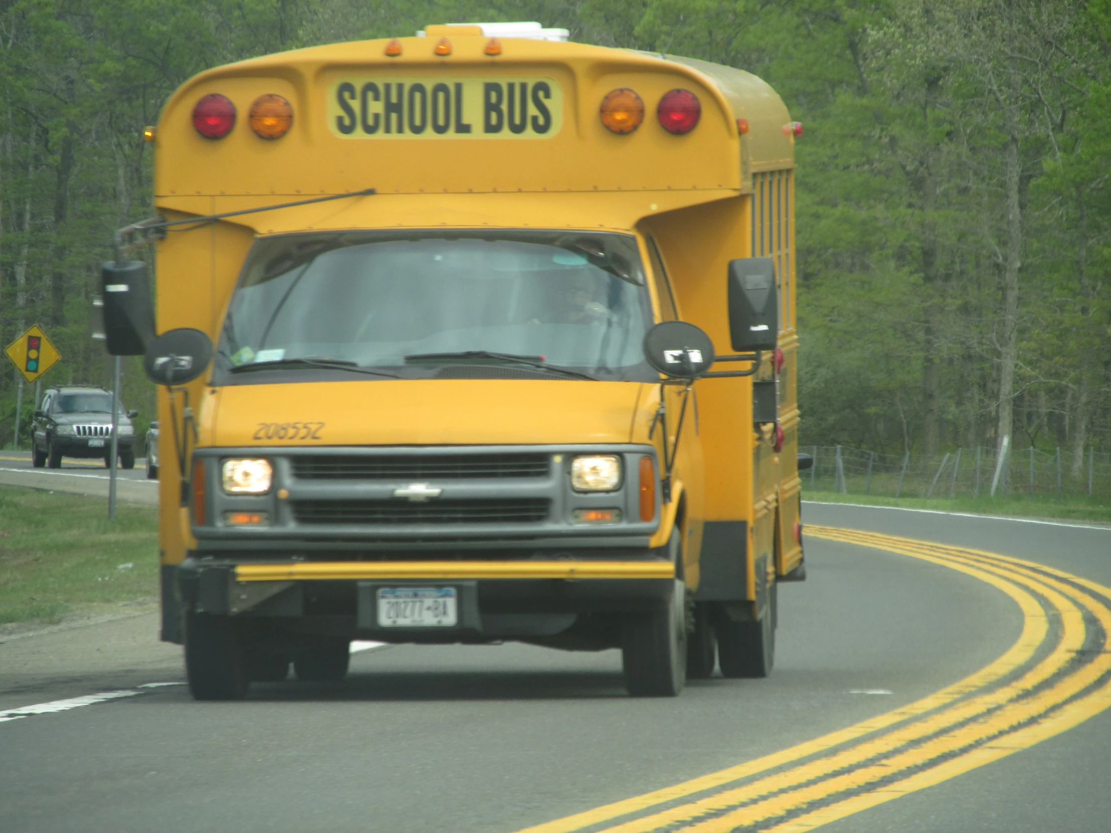 the school bus is on the road by the trees