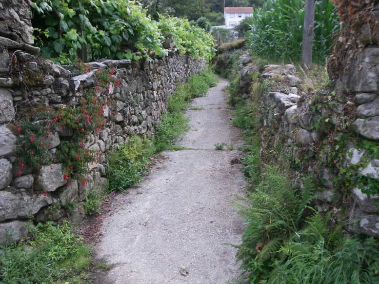 a path surrounded by stone wall and greenery