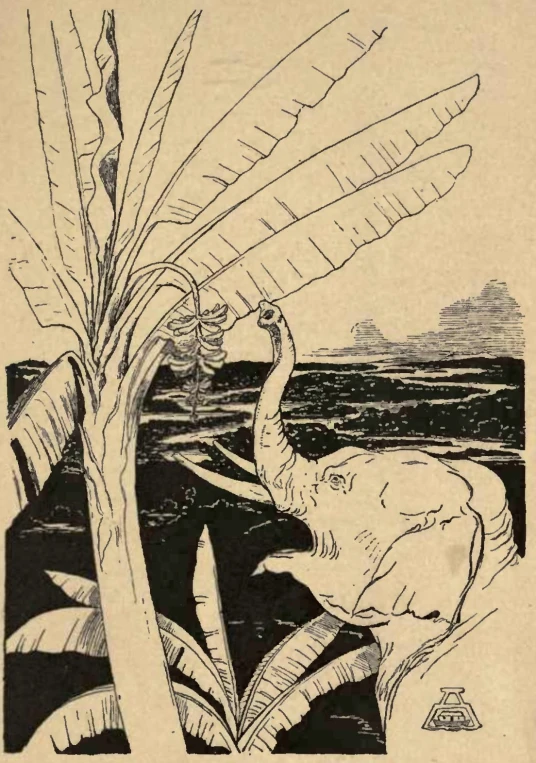 an old drawing of an elephant in a tree