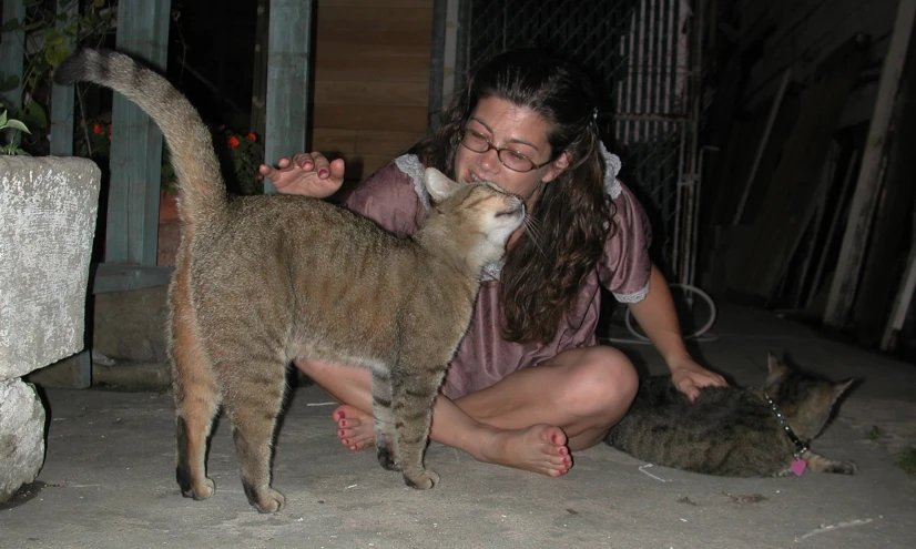 a woman kneeling down to pet three different cats