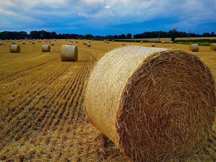 hay bales sit in the middle of a large, open field
