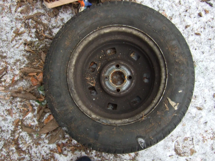 an image of a snow covered tire with skis