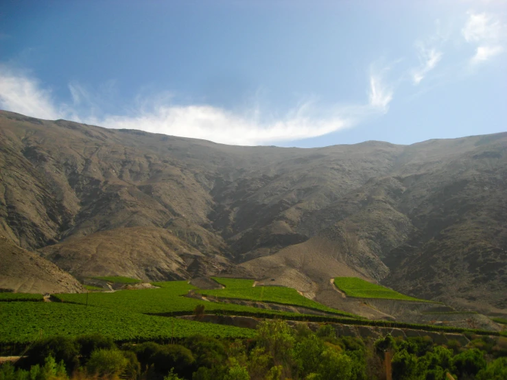 a field on the side of a mountain side