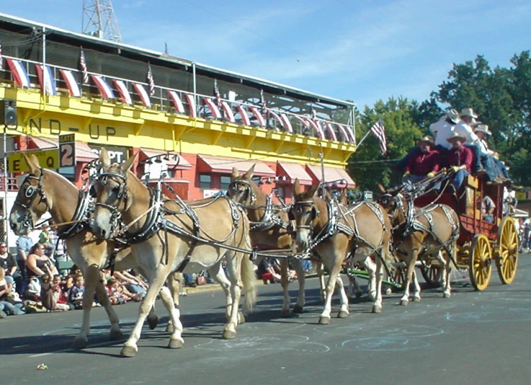 horses pulling a carriage through the streets during a parade