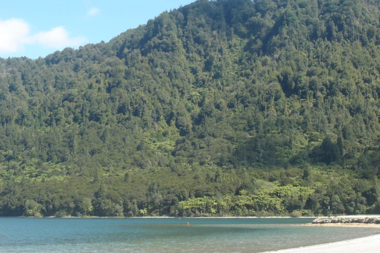 the mountains are full of green trees near the beach