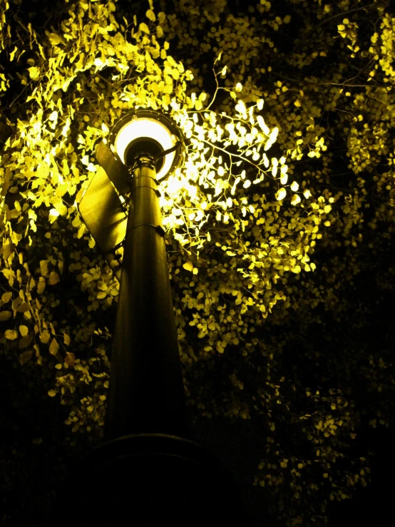 a street lamp shining at night in the dark