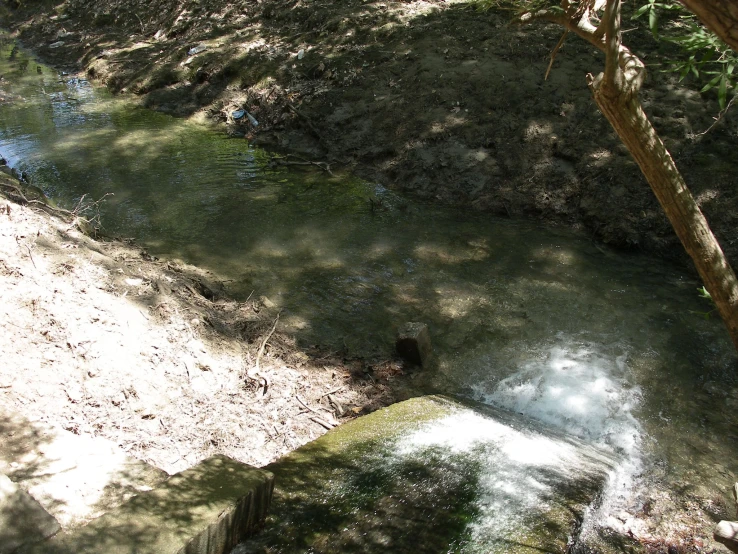 a stream flowing out of a forest into a river