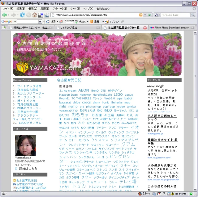 an article in the japanese language is shown