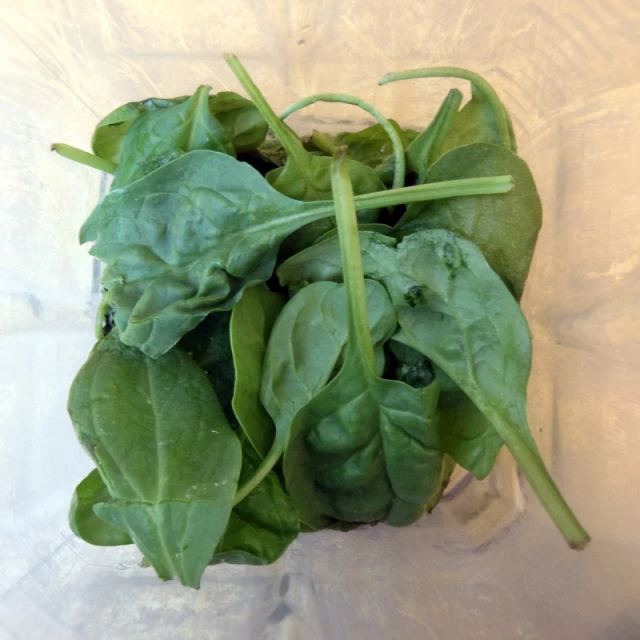 some green vegetables on a piece of plastic