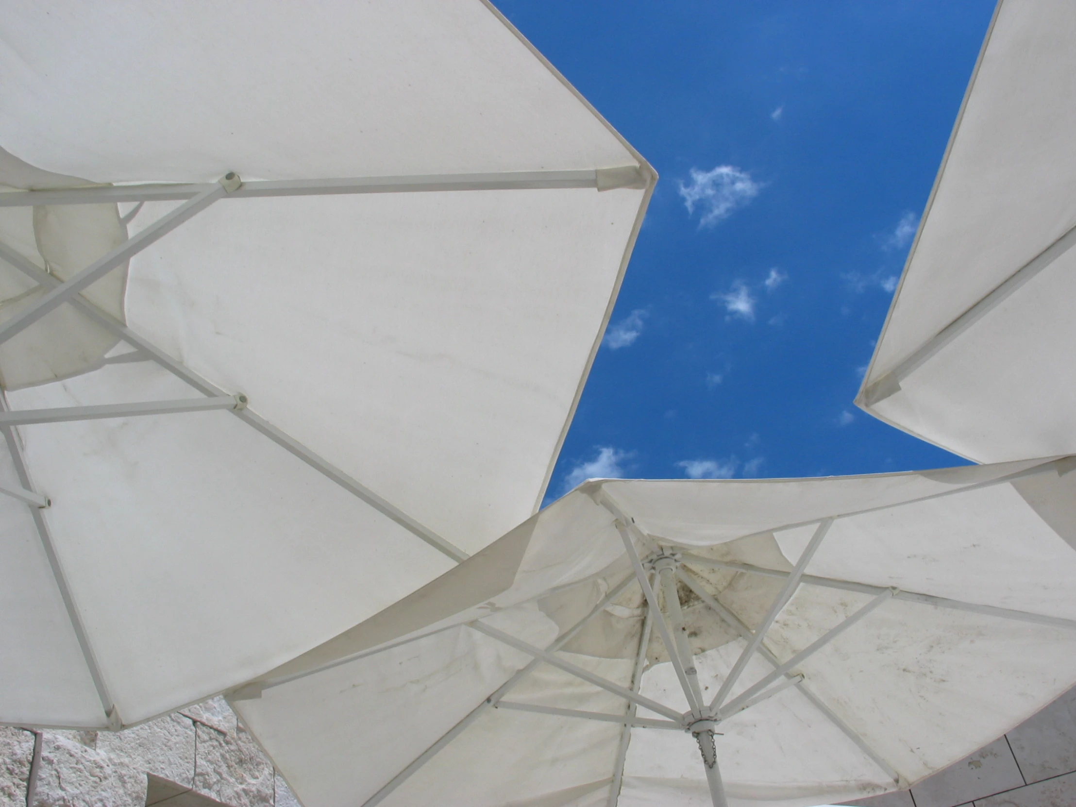 several white umbrellas are folded under a blue sky
