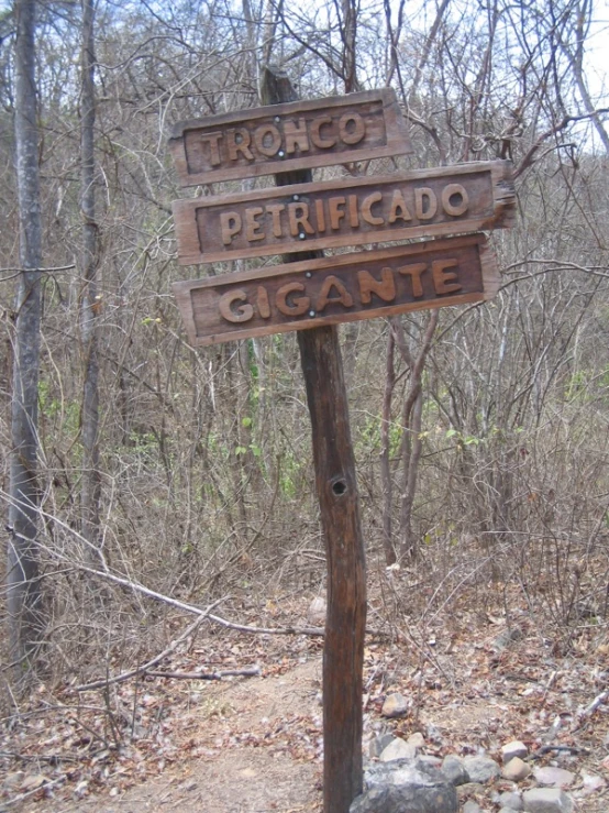 a wooden sign in the middle of the woods saying it is hiking