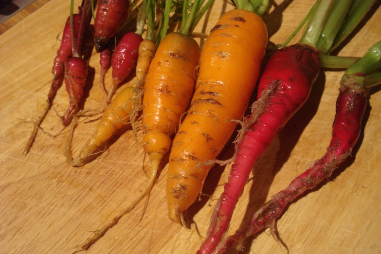 several carrots with their tops sprouting on top of a table