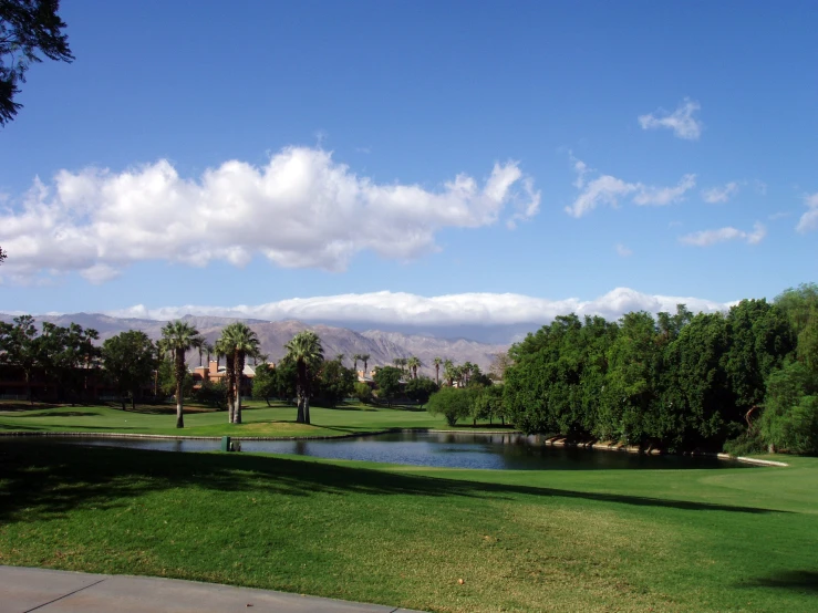 there is a small pond surrounded by lush green grass