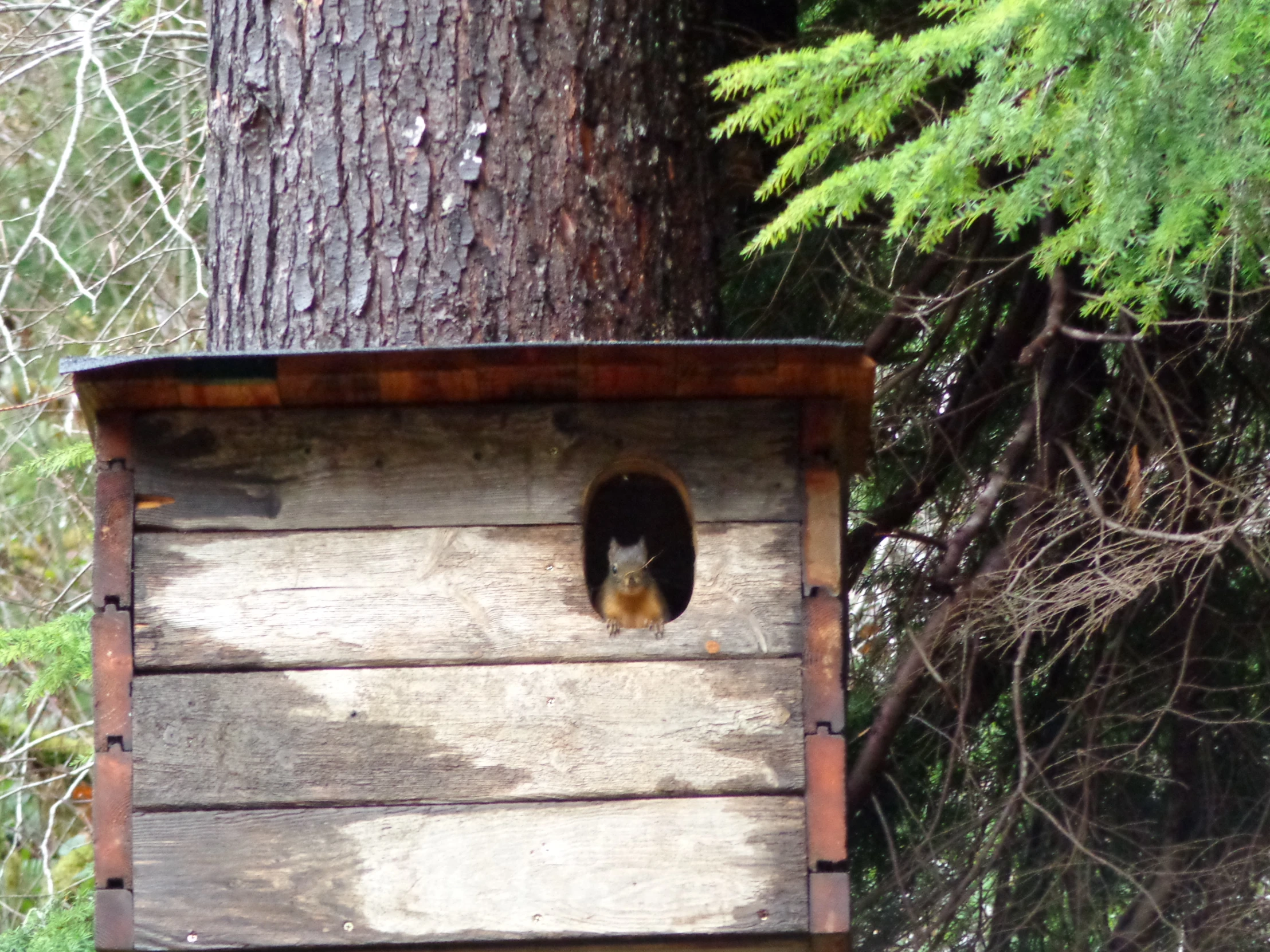 a small wooden birdhouse with a black window