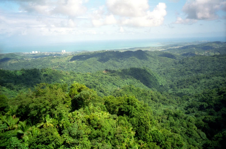 the view from the top of the mountain shows green forest