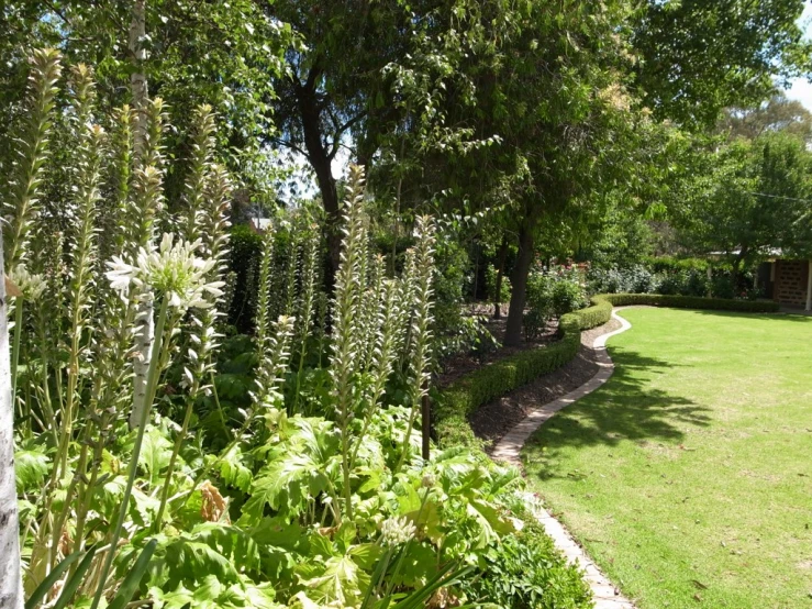 this garden is lined with green plants and flowers