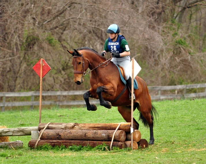 a woman is riding on the back of a horse in a field