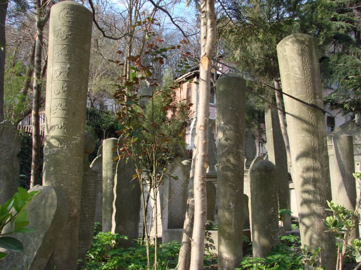 a row of trees surrounding rocks in a cemetery