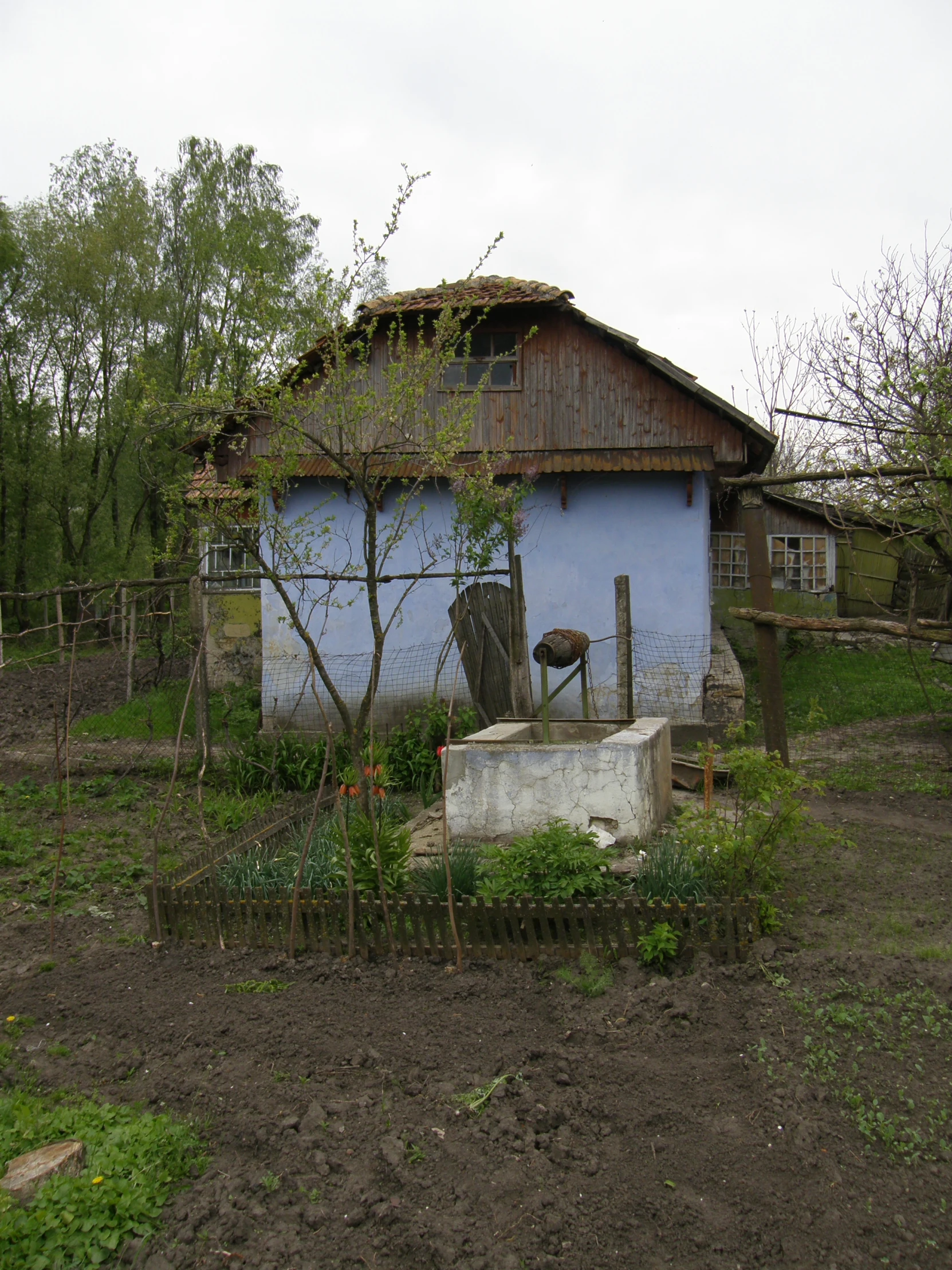 this is an elephant next to the barn