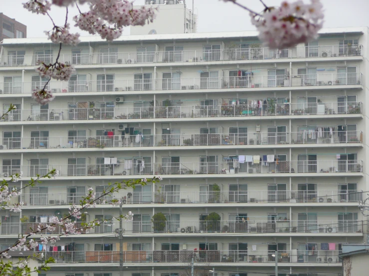 a building with white balconies and pink flowers near by