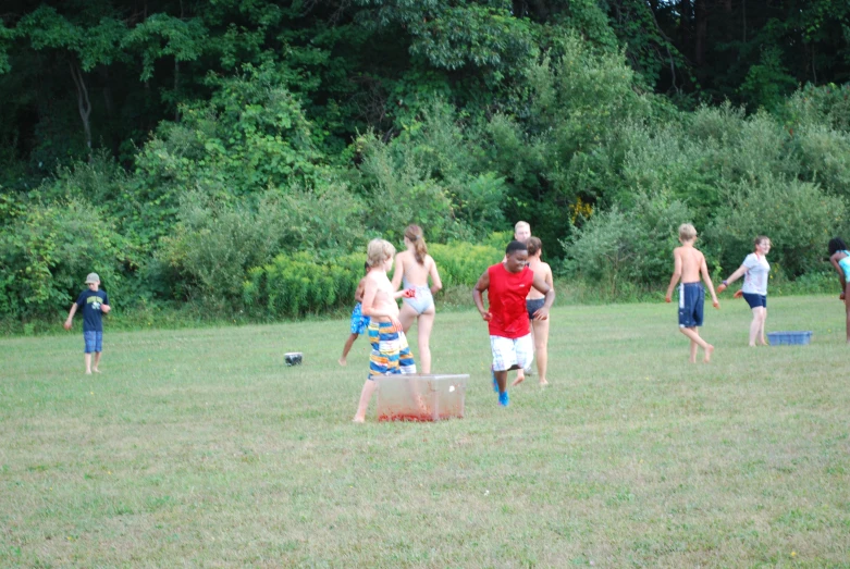 some children play with frisbees on a grassy field